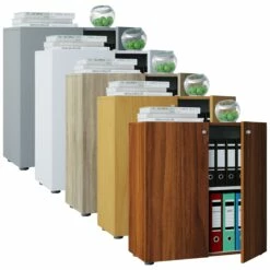 VCM Aktenschrank Mit Drehtüren Lona 2 Fächer