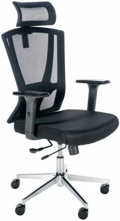 CLP Bürostuhl Scott Ergonomic I Ergonomischer Schreibtischstuhl I Kopfstütze