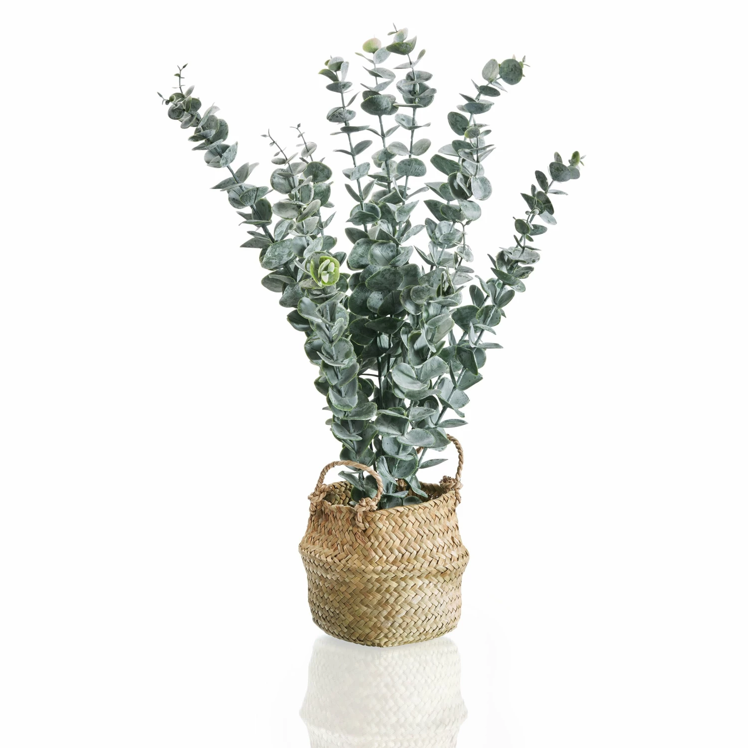 Amarehome Dekopflanze Realistische Kunstpflanze Eukalyptus 50 Cm – Bild 2