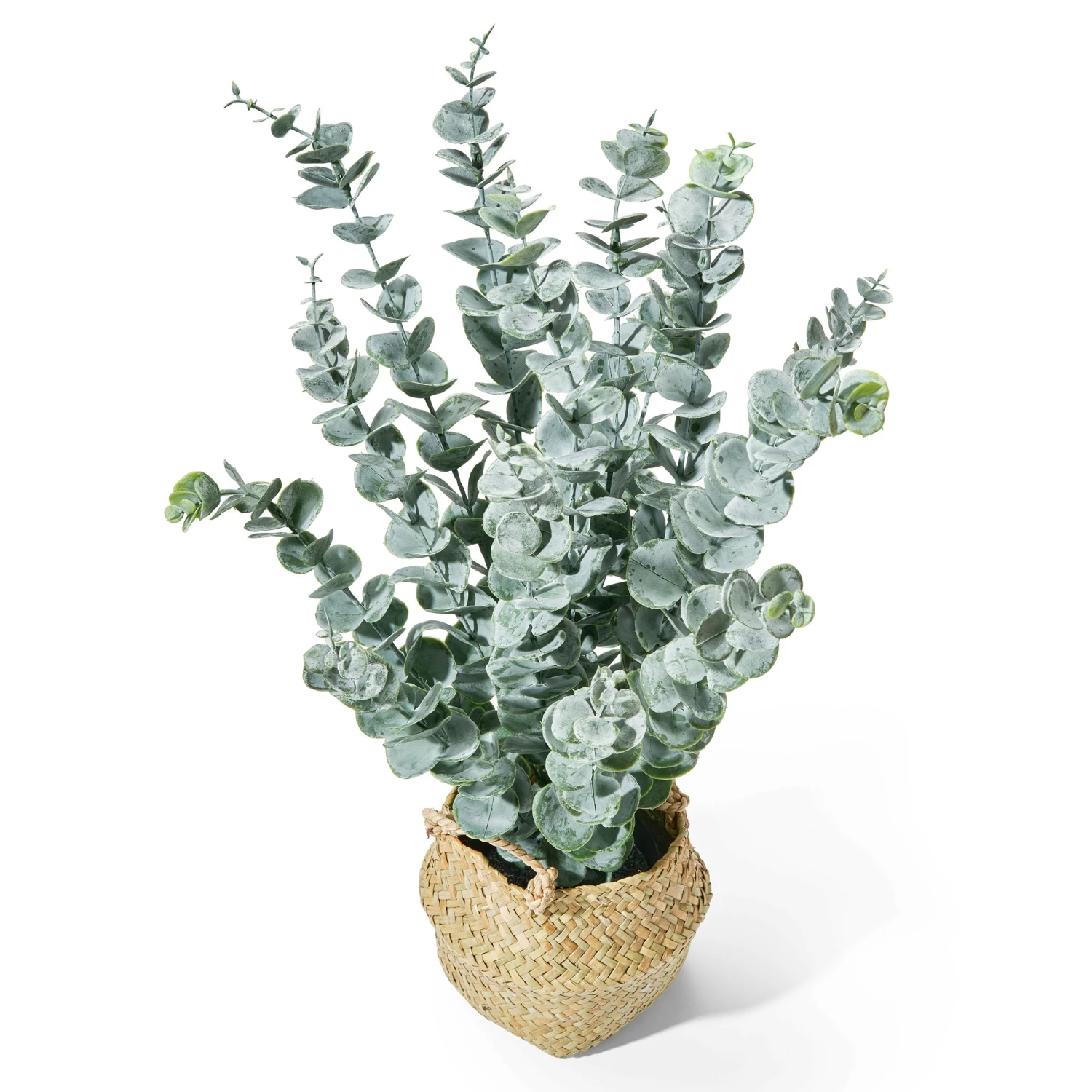 Amarehome Dekopflanze Realistische Kunstpflanze Eukalyptus 50 Cm – Bild 3